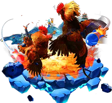 cockfight banner go8